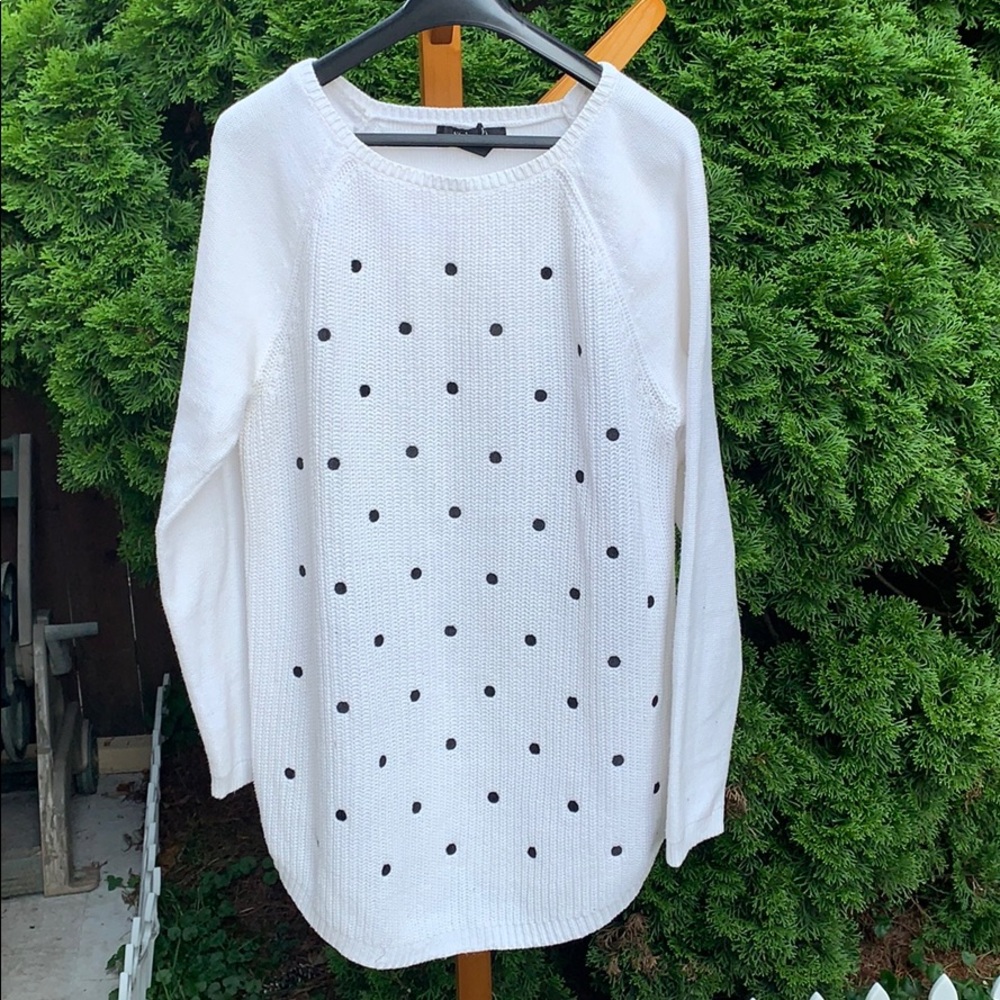 COPY - Style&co. Winter Sweater